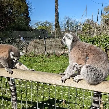 度假居 Elbeuf City