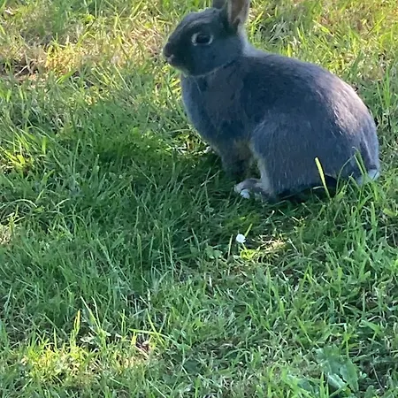 度假居 Elbeuf City *